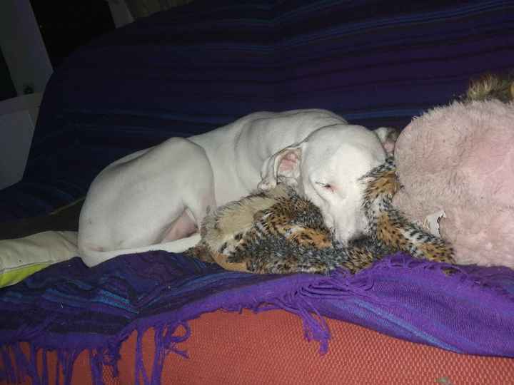 Vuestro plan de fin de semana ideal es... - 1