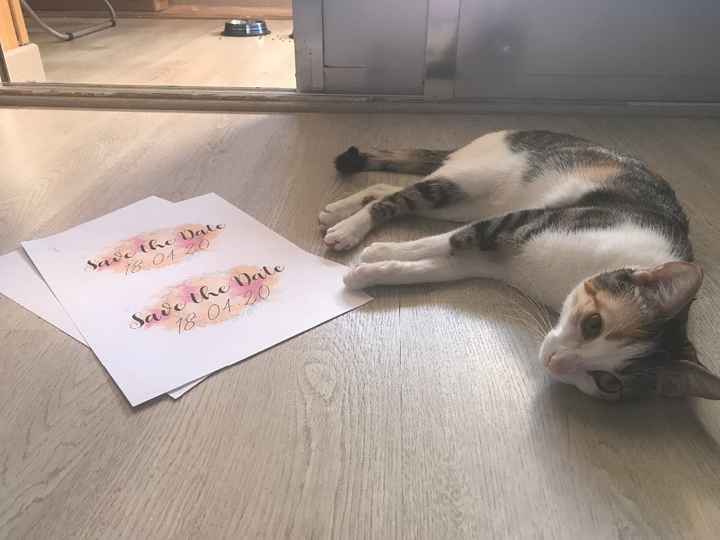 Aloy y los Save the Date.