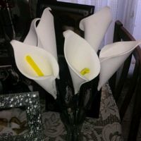 Rosas para el arroz - 1
