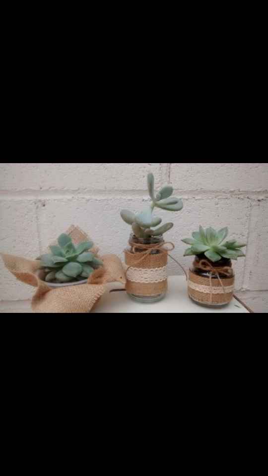 Mini suculentas como detalle de boda para las invitadas - 1