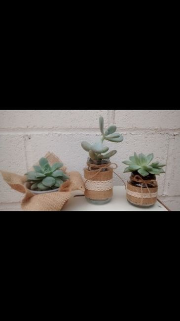 Mini suculentas como detalle de boda para las invitadas - 1