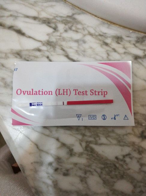 Test ovulación embarazatest - 1