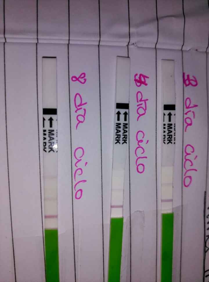 Resuelvo dudas sobre los to (test de ovulacion) - 1