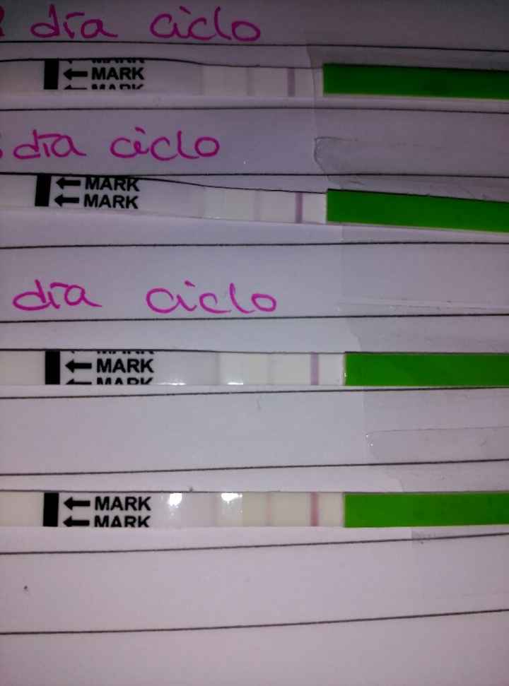 Resuelvo dudas sobre los to (test de ovulacion) - 1