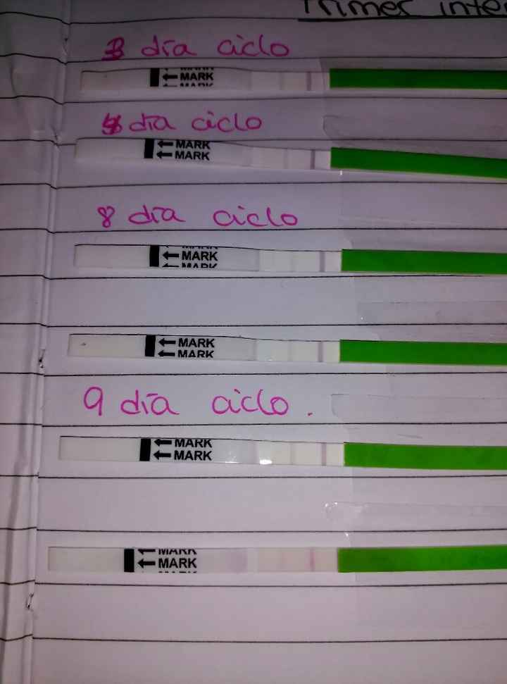 Resuelvo dudas sobre los to (test de ovulacion) - 1