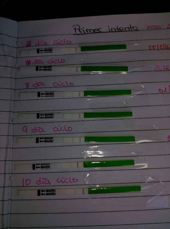 Resuelvo dudas sobre los to (test de ovulacion) - 1