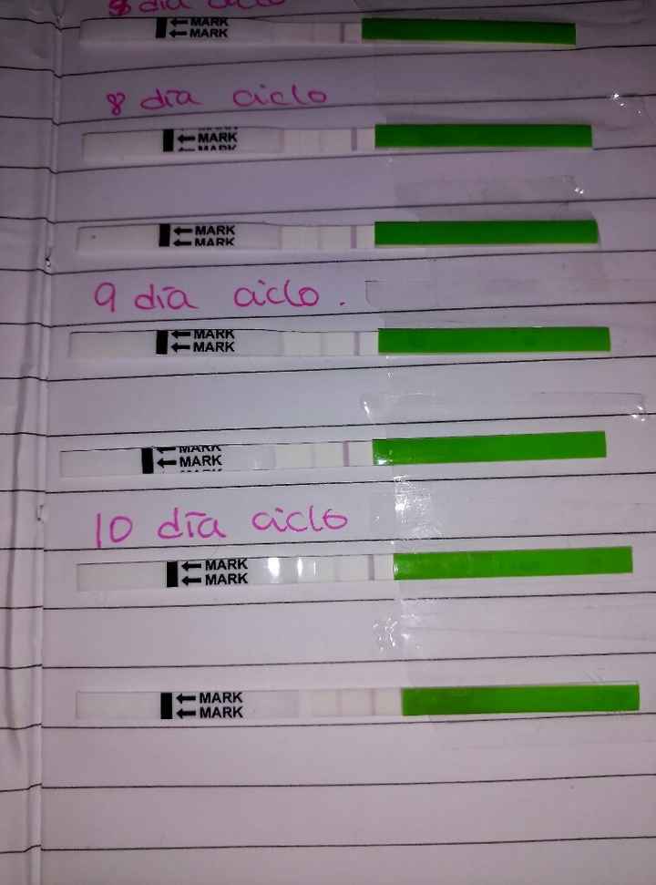 Resuelvo dudas sobre los to (test de ovulacion) - 1