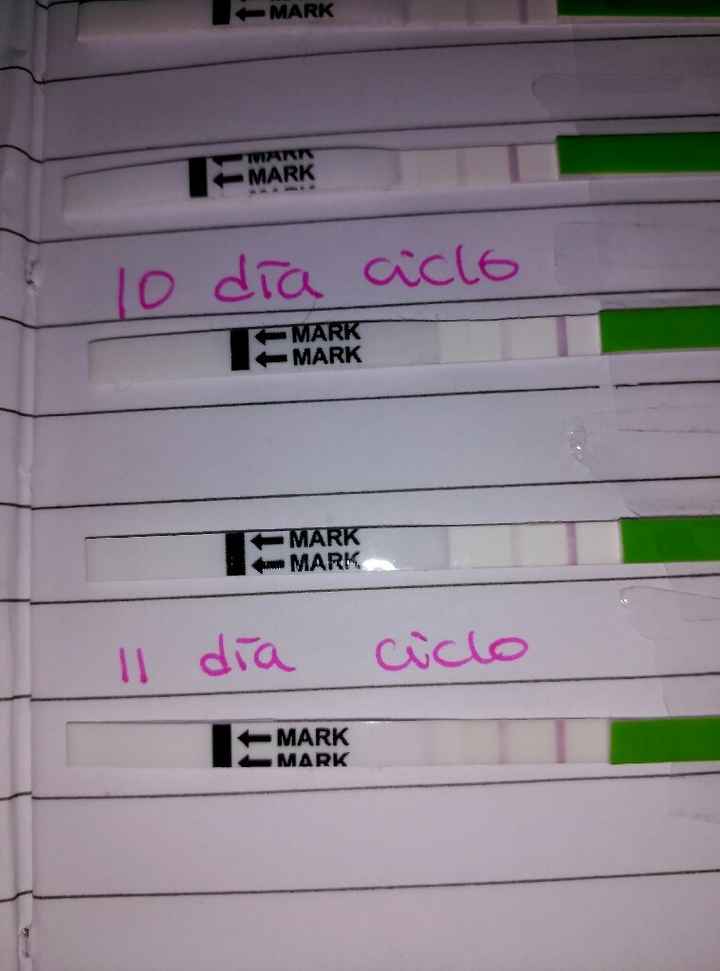 Resuelvo dudas sobre los to (test de ovulacion) - 1