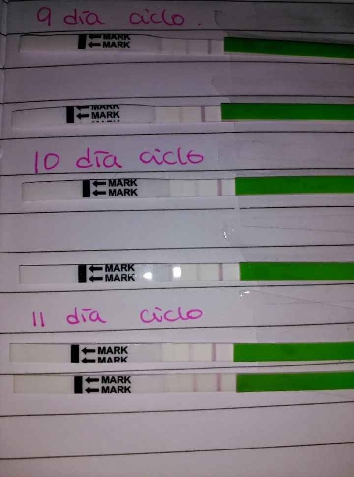 Resuelvo dudas sobre los to (test de ovulacion) - 1