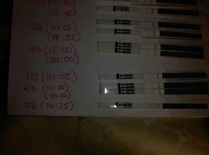 Resuelvo dudas sobre los to (test de ovulacion) - 1