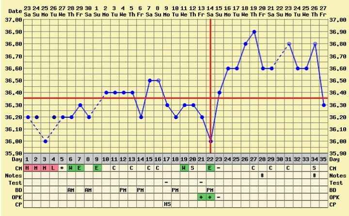 Decálogo de las gráficas de temperatura basal - 1