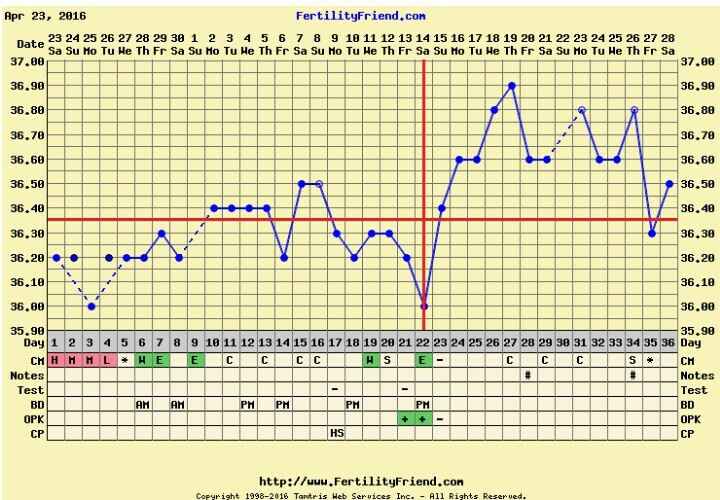 Decálogo de las gráficas de temperatura basal - 1