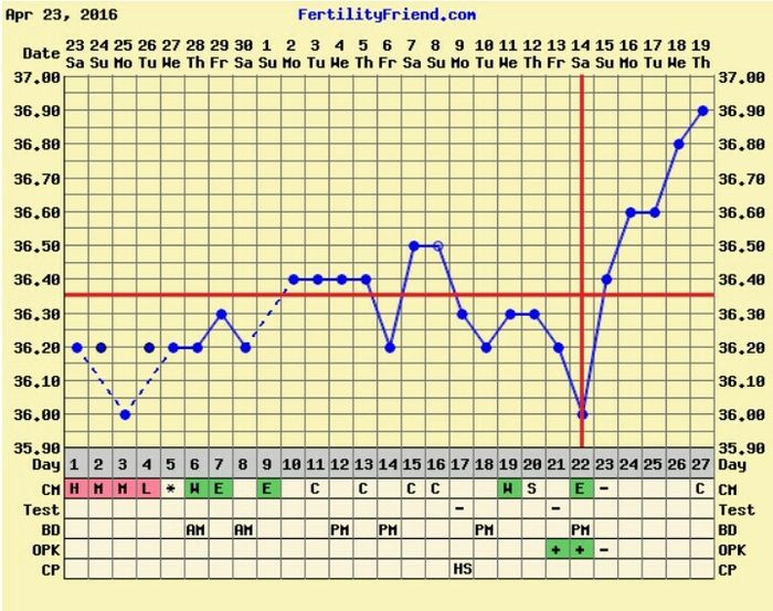 Decálogo de las gráficas de temperatura basal - 1