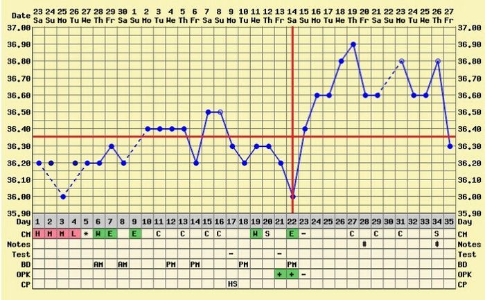 Decálogo de las gráficas de temperatura basal - 1