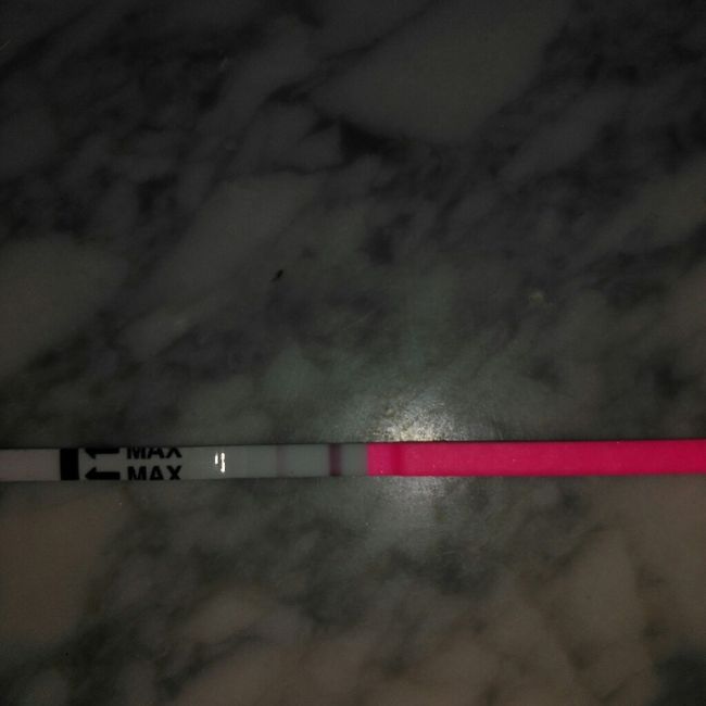 Buscadoras de un primer embarazo y tras muchos intentos no llega - 1