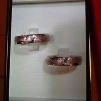 Alianzas unicas - 1