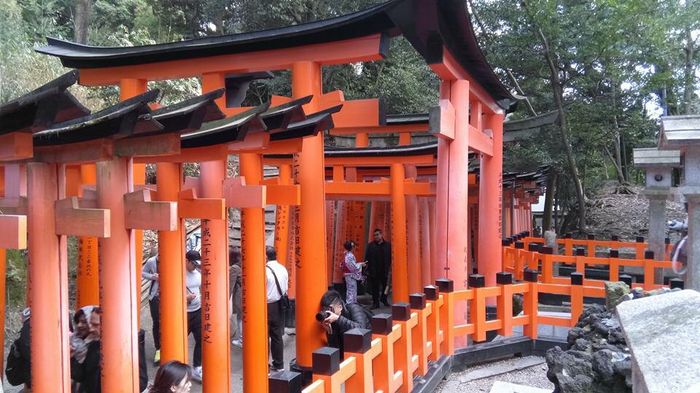 Japón en Noviembre - 2