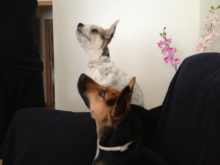 Uma y Leeloo