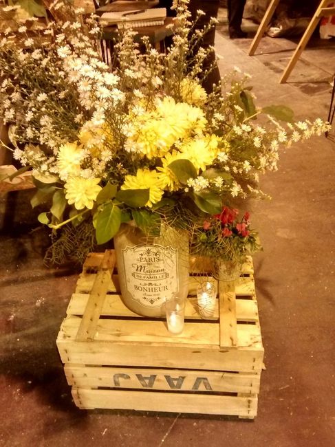 Zona Vintage 1