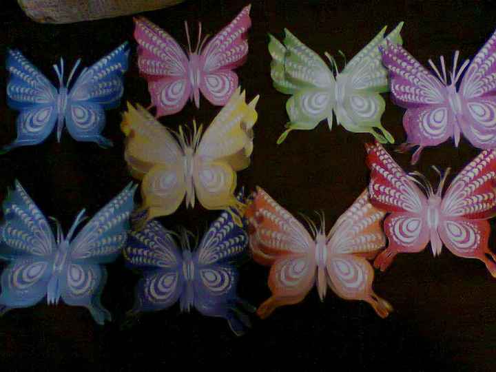 mariposas