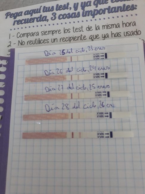 Buscadoras de enero 2019 2