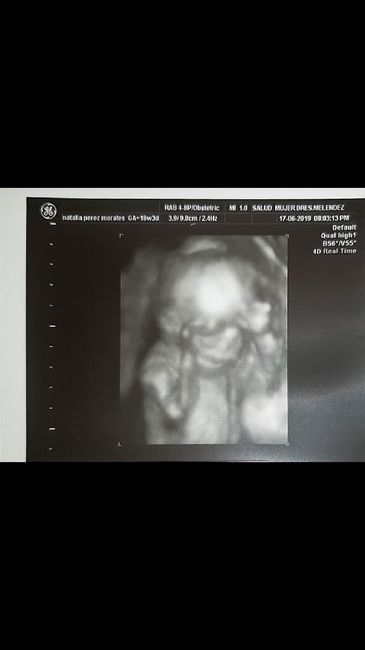 mamis noviembre 2019 oficial - 2