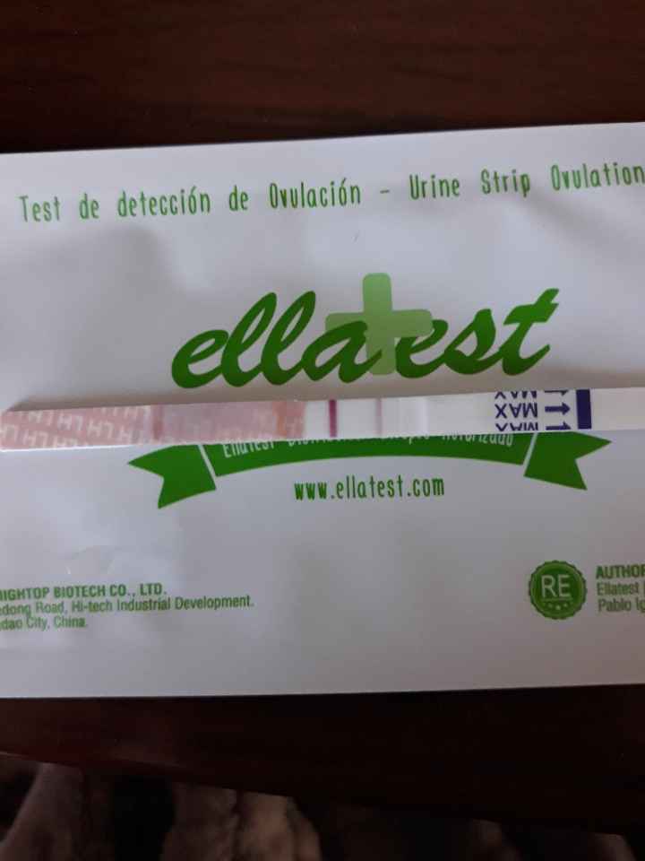 Buscadoras de enero 2019 - 2