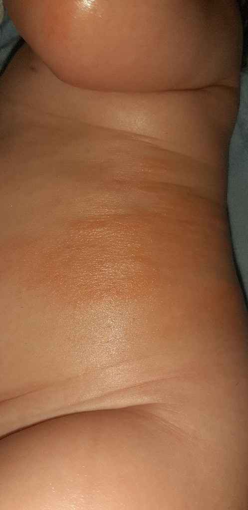 mamis noviembre 2019 oficial - 1