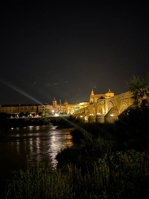 Como os lo pidieron y quiero ver los anillos!! 1