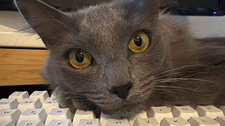 Bodas temáticas: un toque único para el gran día. - 1