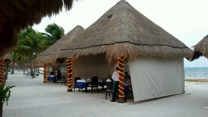 Mi experiencia en hoteles palladium riviera maya - 6