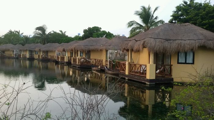 Mi experiencia en hoteles palladium riviera maya - 9