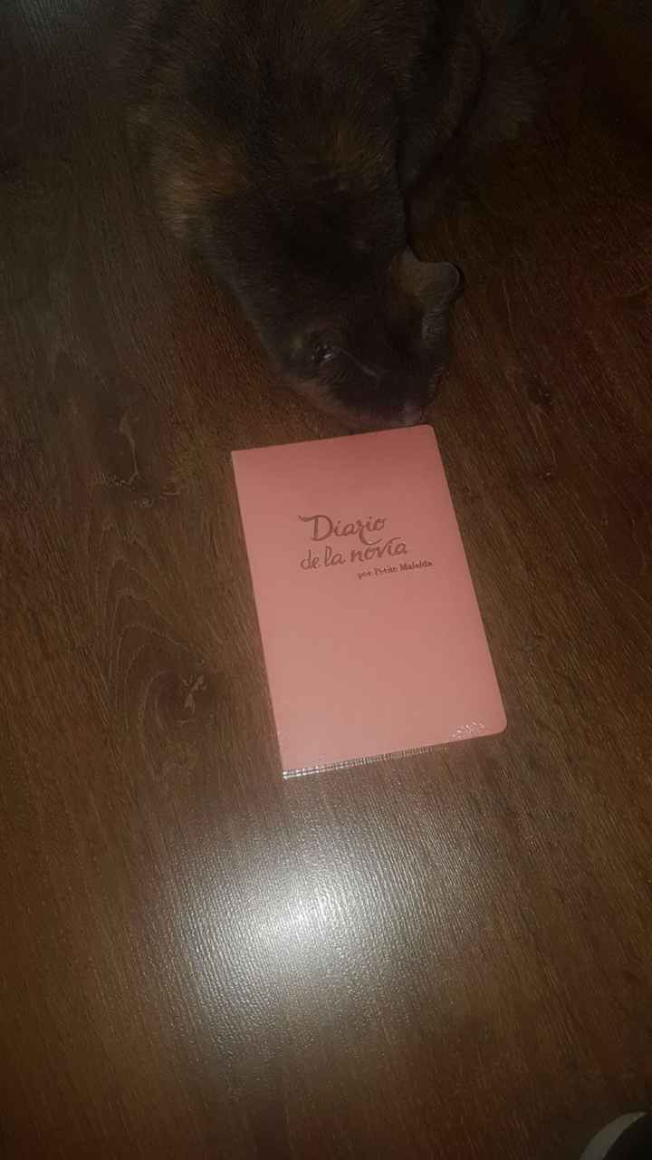  Ya tengo el diario de la novia!!! - 1
