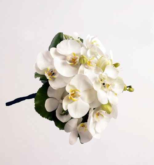 ORQUIDEAS