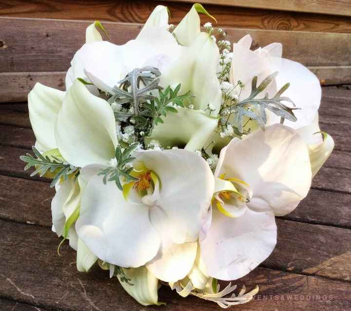 ORQUIDEAS Y CALAS 
