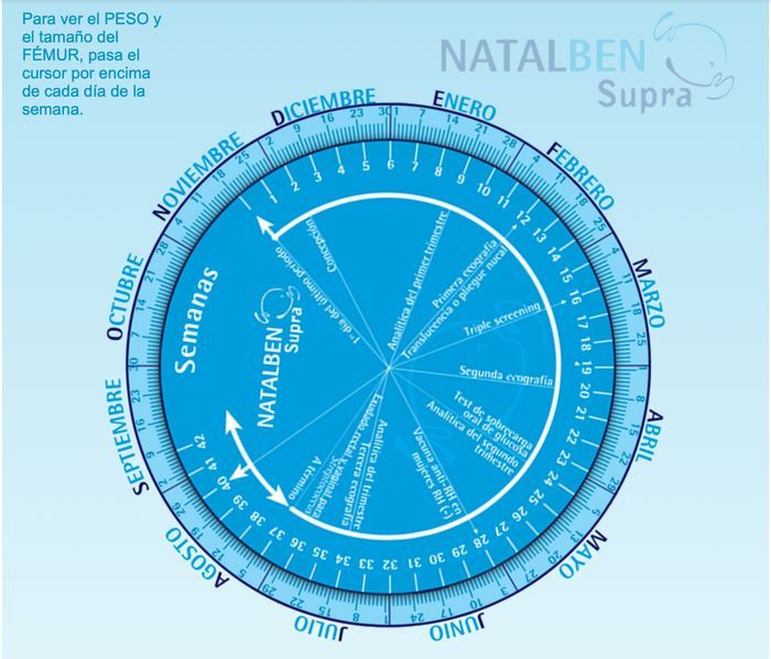 Calendario embarazo natalben 