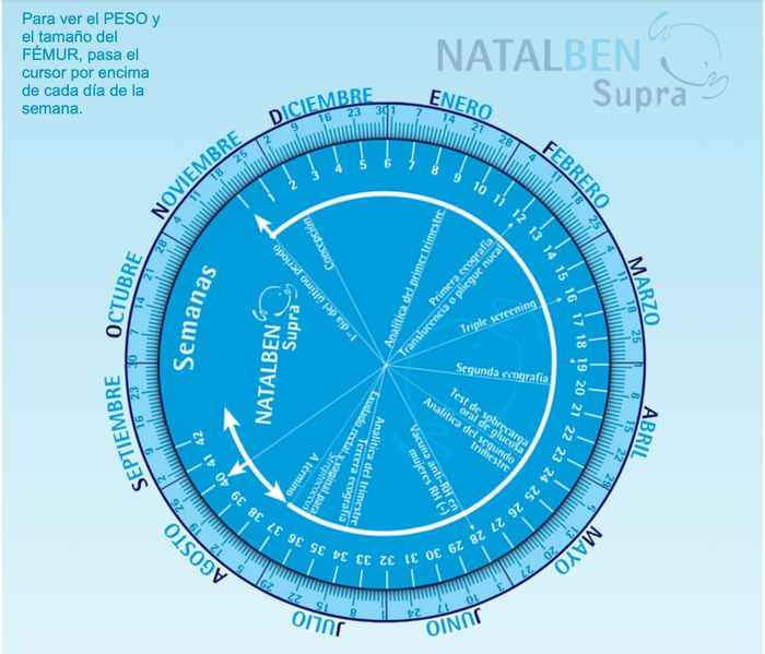 Calendario embarazo natalben 