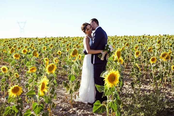 Girasoles
