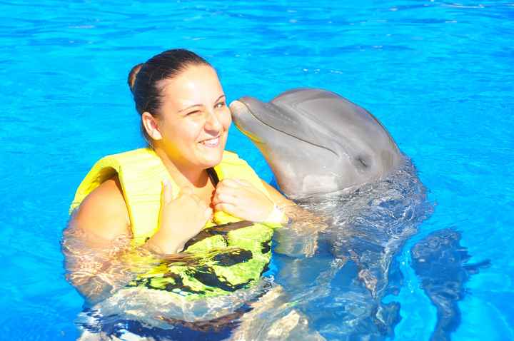 nado con los delfines