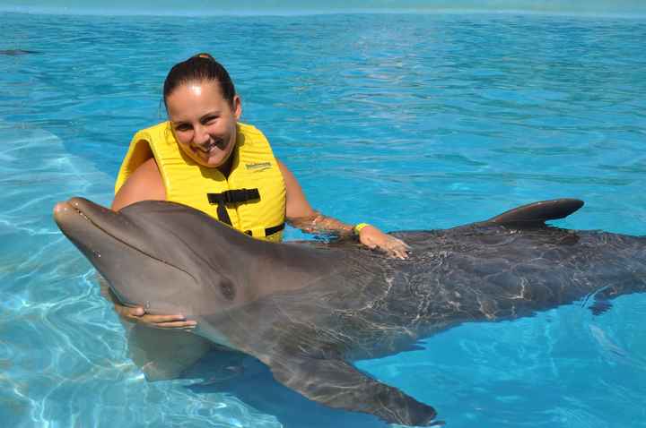 nado con los delfines