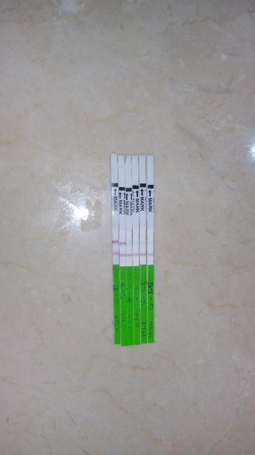 test ovulacion 
