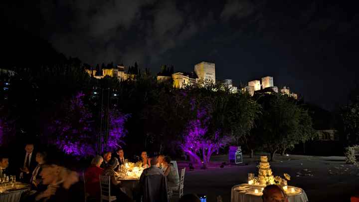 Por fin llegó la boda - 9