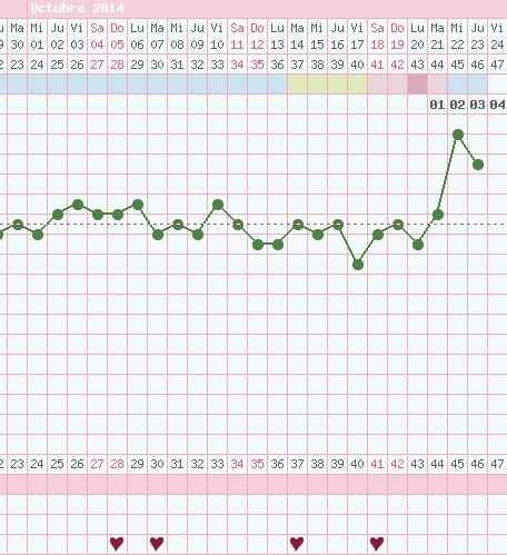 GRAFICA OP