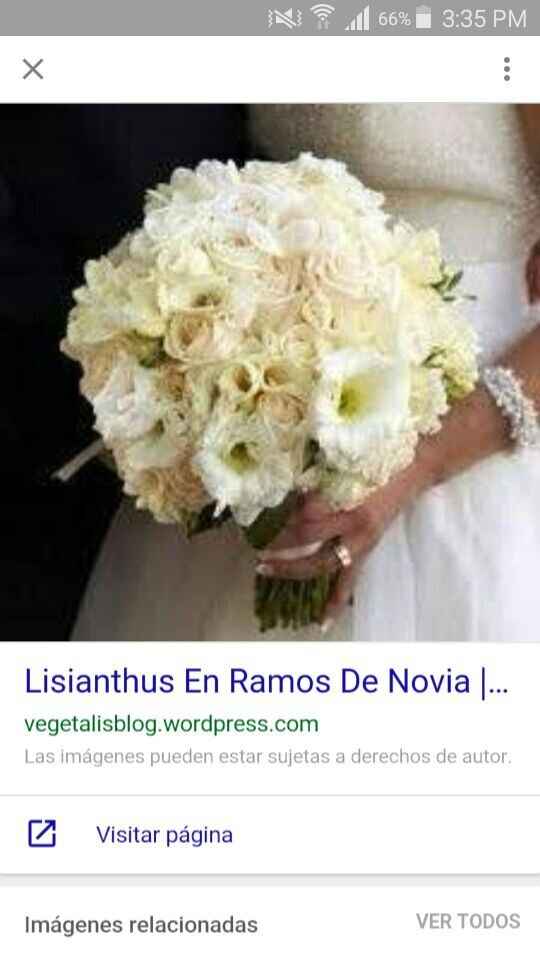 Os gusta este ramo? - 3