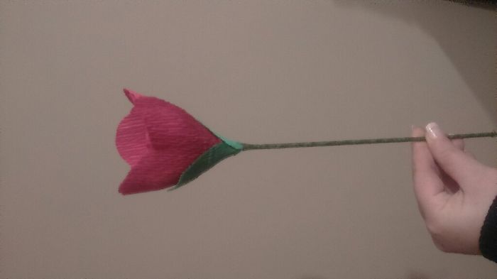 Tulipanes papel pinocho - 1