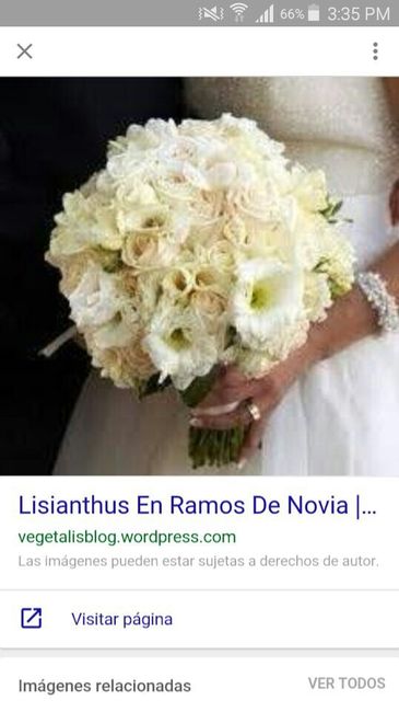 Hecha un lio con los ramos . cual os gusta más? - 1