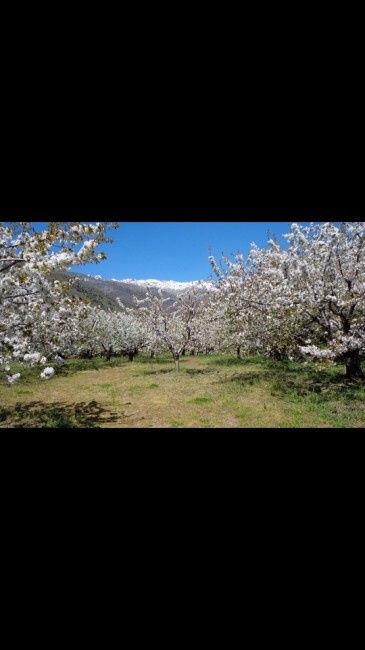 Viaje de novios en España - 4