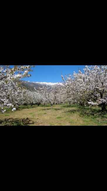 Viaje de novios en España - 4