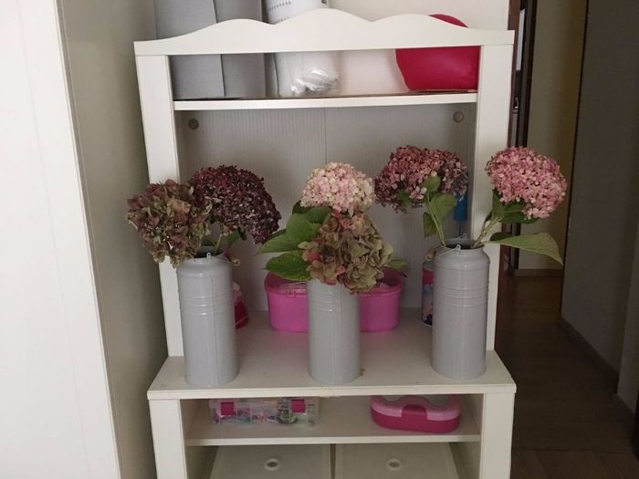 Hortensias secadas por mí