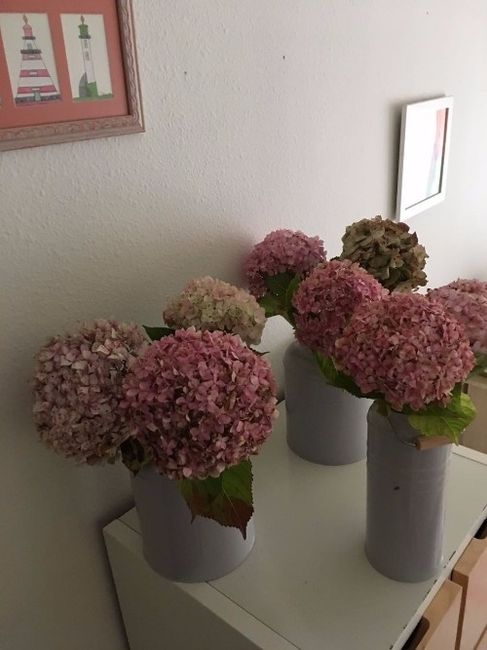 hortensias secadas por mi